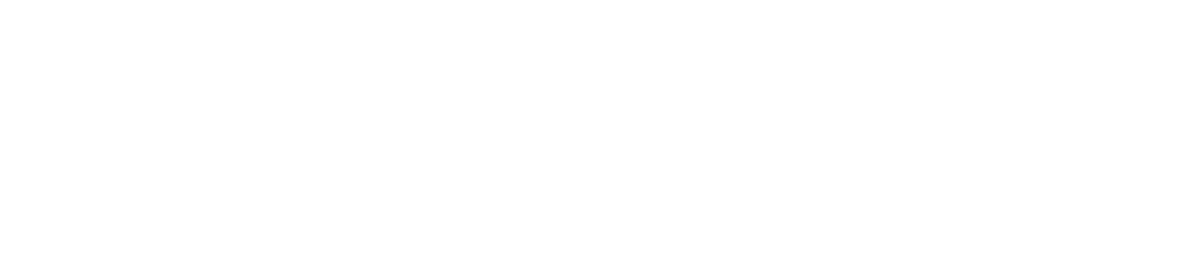 WordPress Logo